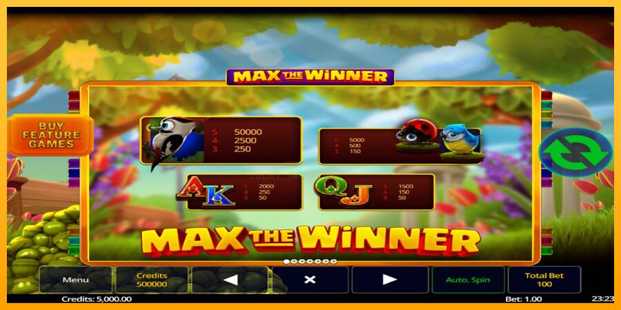 Max The Winner 游戏机赚钱, 图片 5