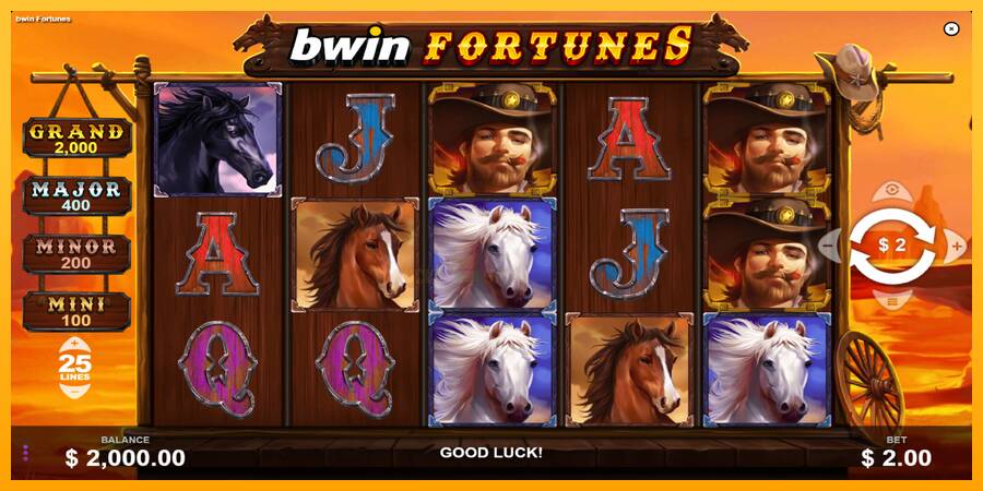 Bwin Fortunes 游戏机赚钱, 图片 2