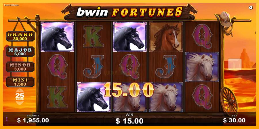 Bwin Fortunes 游戏机赚钱, 图片 3