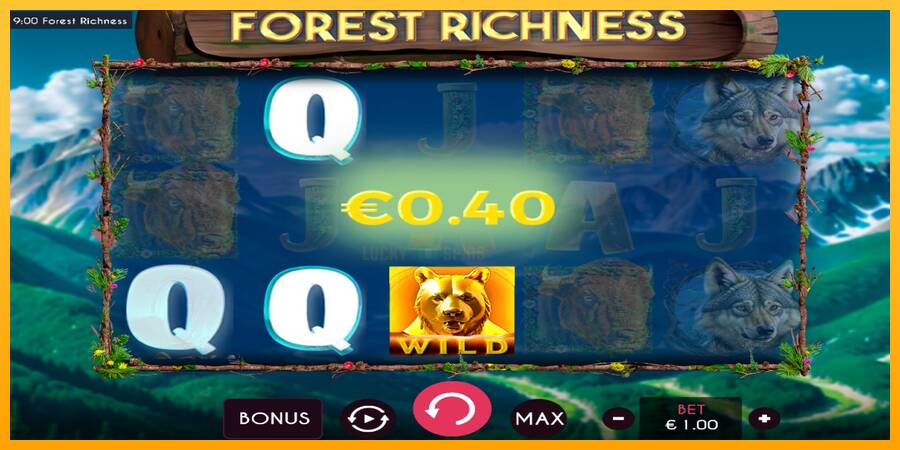 Forest Richness 游戏机赚钱, 图片 3