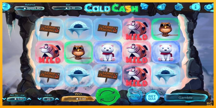 Cold Cash 游戏机赚钱, 图片 2