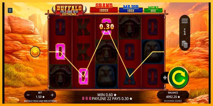 Buffalo Hold and Win Extreme 游戏机赚钱, 图片 4