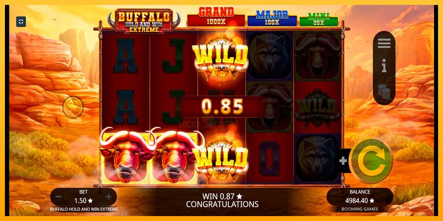 Buffalo Hold and Win Extreme 游戏机赚钱, 图片 6