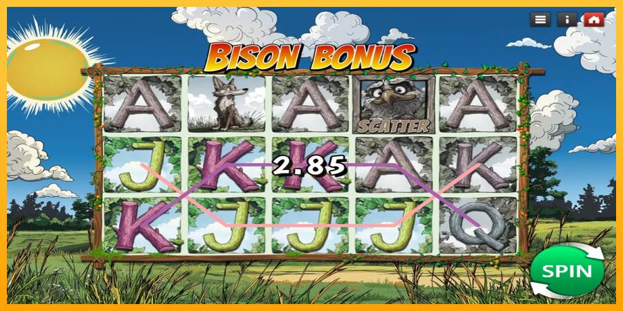 Bison Bonus 游戏机赚钱, 图片 2