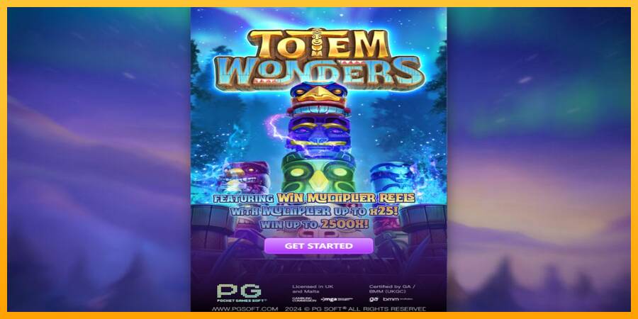 Totem Wonders 游戏机赚钱, 图片 1