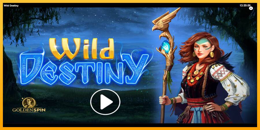 Wild Destiny 游戏机赚钱, 图片 1