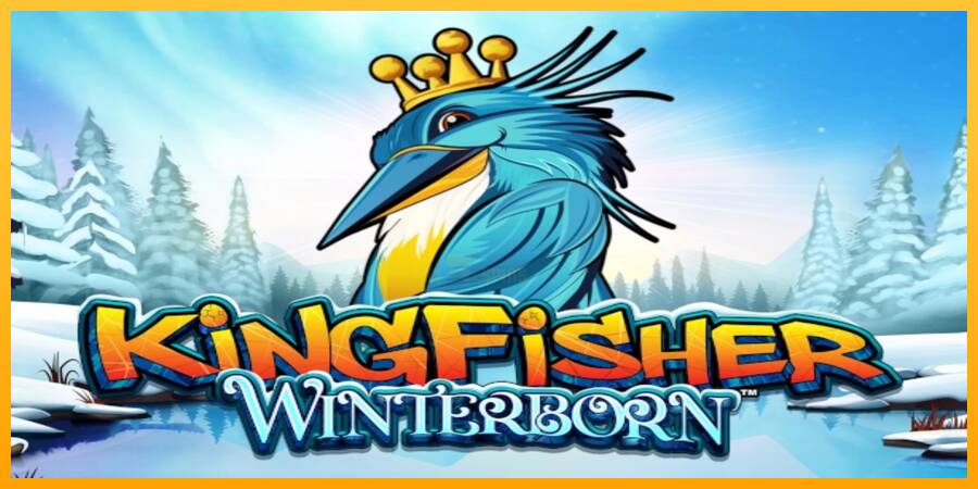 Kingfisher Winterborn 游戏机赚钱, 图片 1