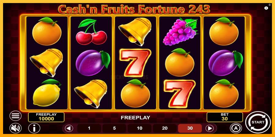 Cashn Fruits Fortune 243 游戏机赚钱, 图片 2