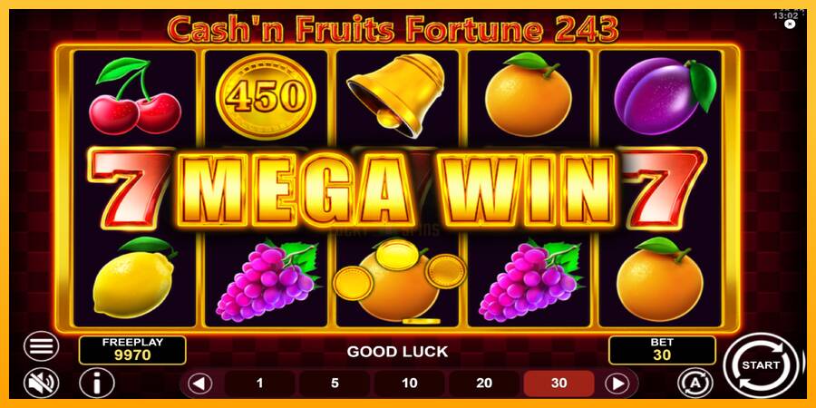 Cashn Fruits Fortune 243 游戏机赚钱, 图片 3