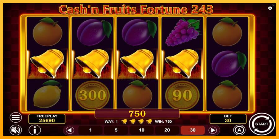 Cashn Fruits Fortune 243 游戏机赚钱, 图片 5