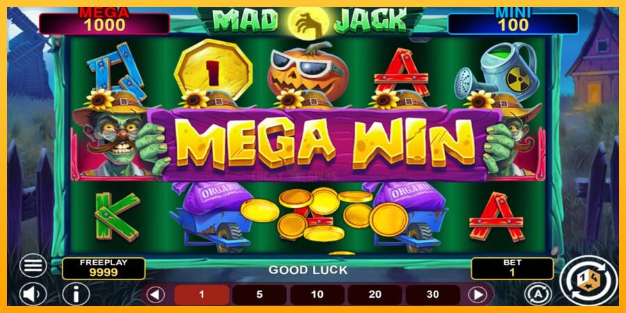 Mad Jack Hold & Win 游戏机赚钱, 图片 2